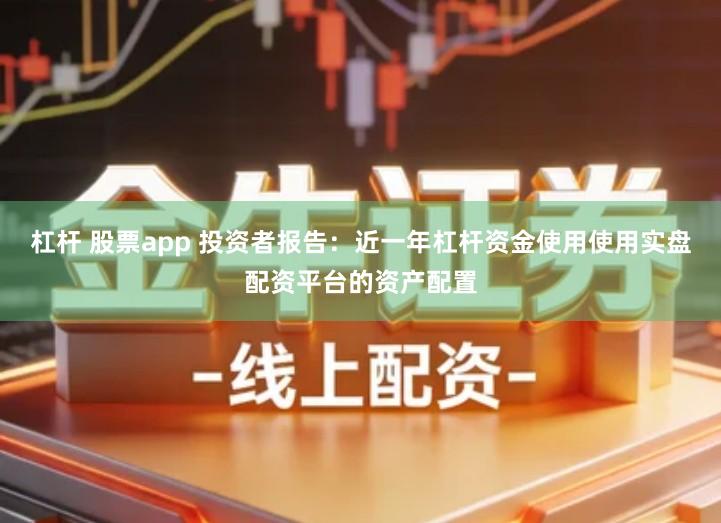 杠杆 股票app 投资者报告：近一年杠杆资金使用使用实盘配资平台的资产配置