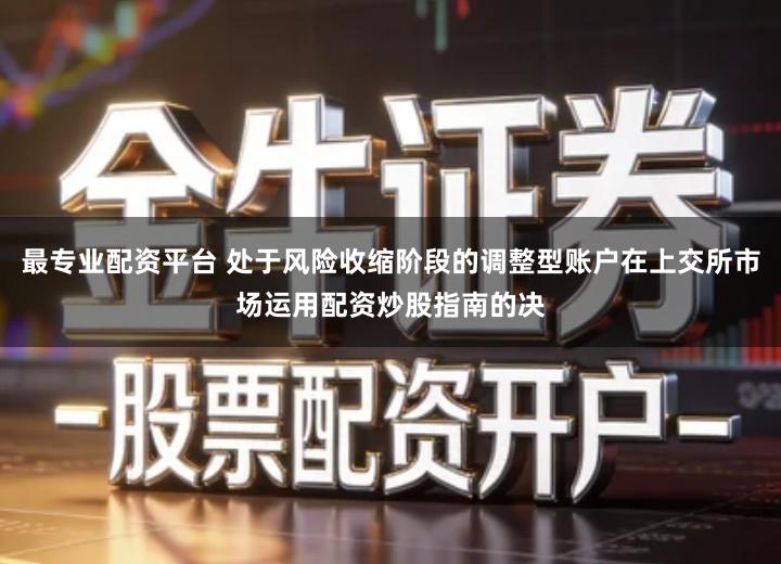 最专业配资平台 处于风险收缩阶段的调整型账户在上交所市场运用配资炒股指南的决